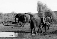 South Africa