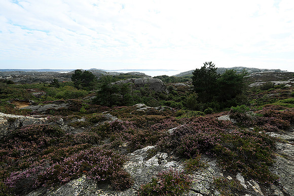 Islandberg