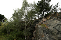 Near Marstrand, west coast