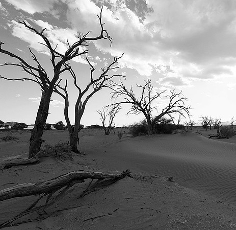 Namibia - Namib desert