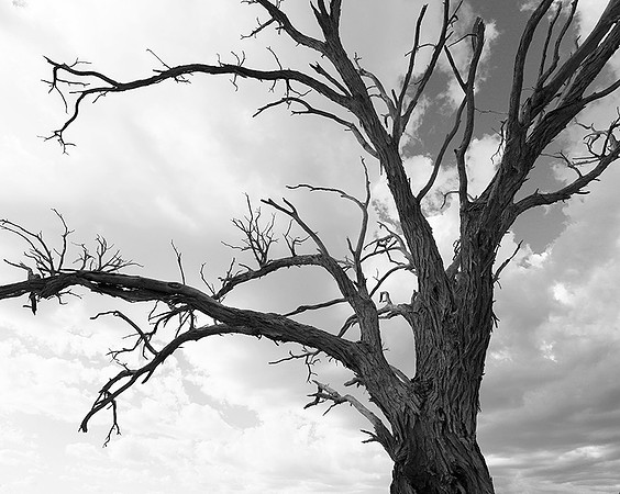 Namibia - Namib desert