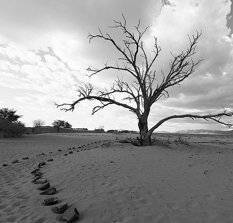 Namibia - Namib desert