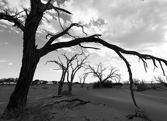 Namibia - Namib desert