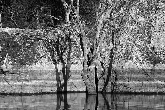 Malilangwe wildlife reserve - Zimbabwe