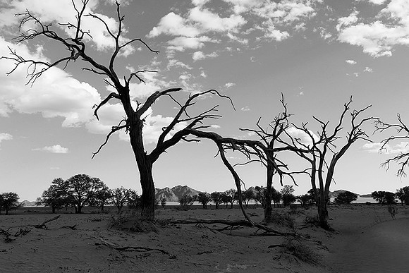 Namibia - Namib desert