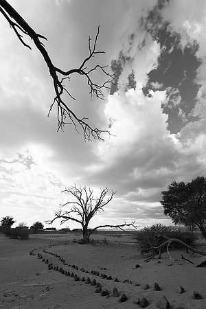 Namibia - Namib desert