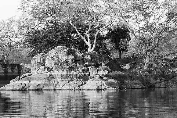 Malilangwe wildlife reserve - Zimbabwe