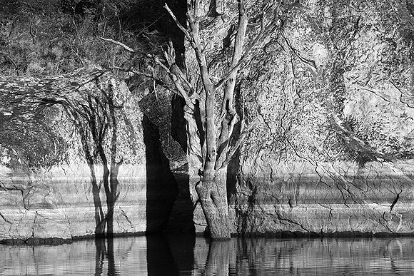 Malilangwe wildlife reserve - Zimbabwe