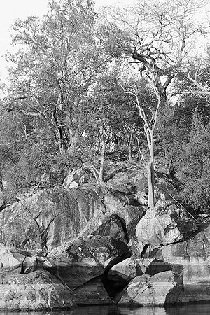 Malilangwe wildlife reserve - Zimbabwe