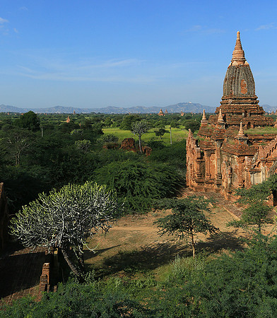 Bagan