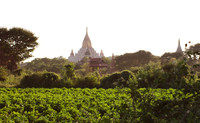 Bagan