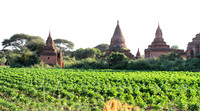 Bagan