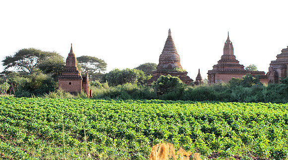 Bagan