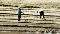 Mekong