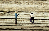 Mekong