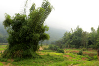 Muang La