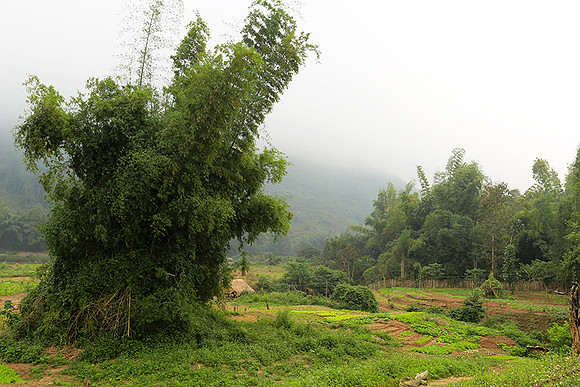 Muang La