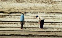 Mekong