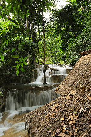 Khuang Sy