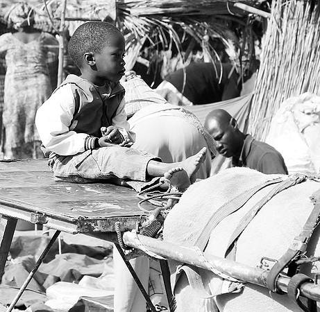 Bush market