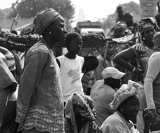 Bush market