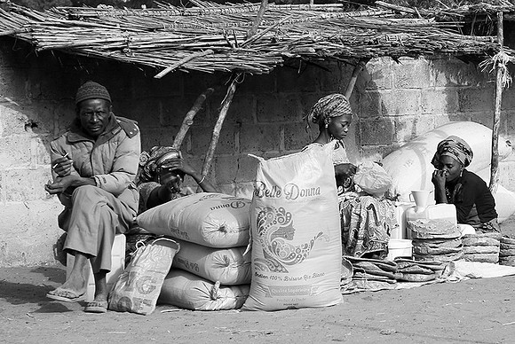 Bush market