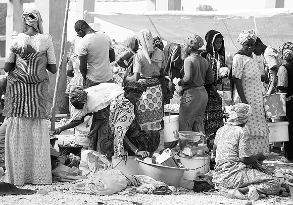 Bush market