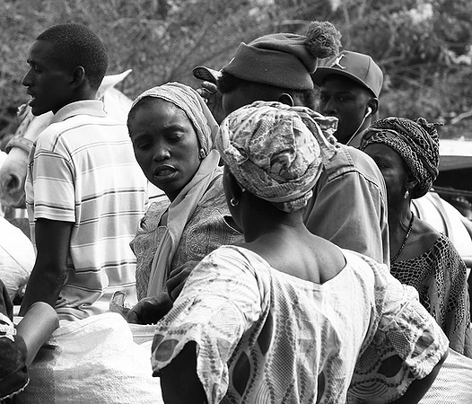 Bush market
