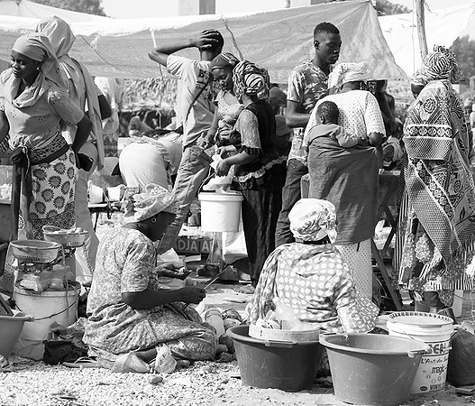 Bush market