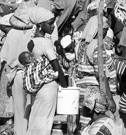 Bush market