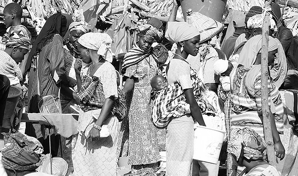 Bush market