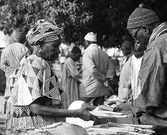 Bush market