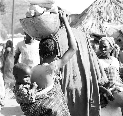 Bush market