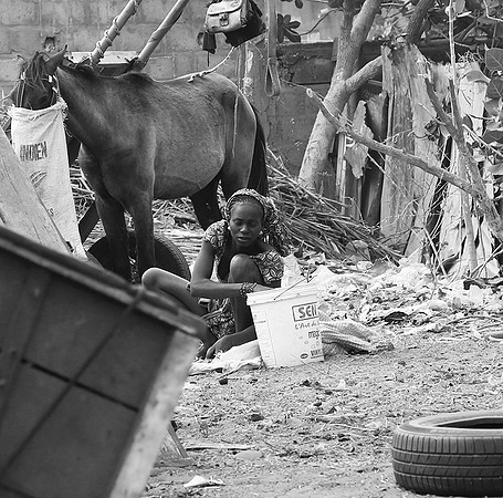 Bush market