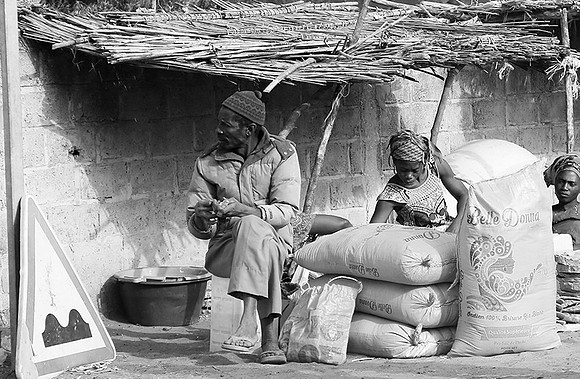 Bush market