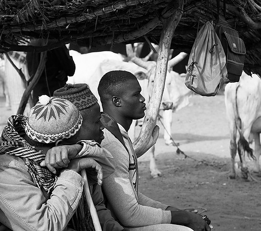 Bush market