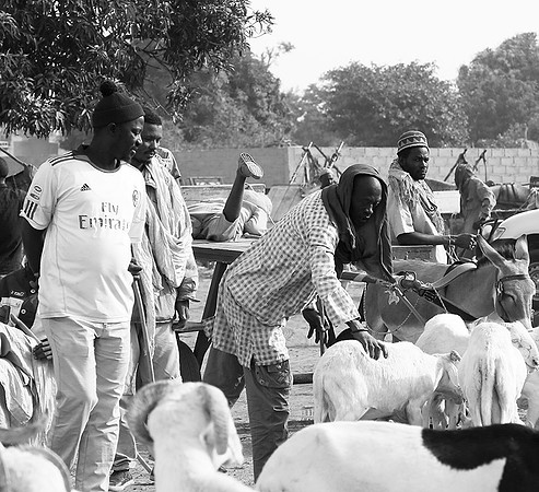 Bush market