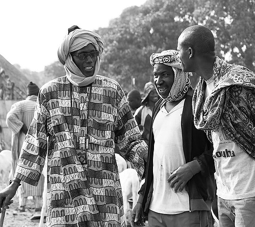 Bush market