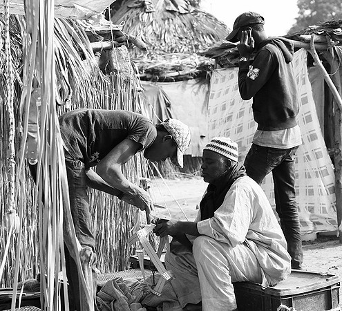 Bush market