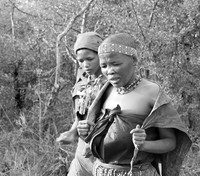 Junxwazy bushmen