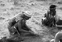 Junxwazy bushmen