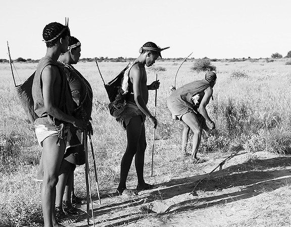Bushmen - Central Kalahari