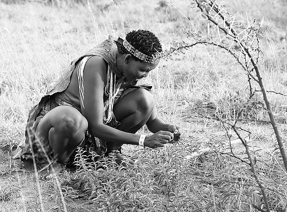Bushmen - Makgadikgadi