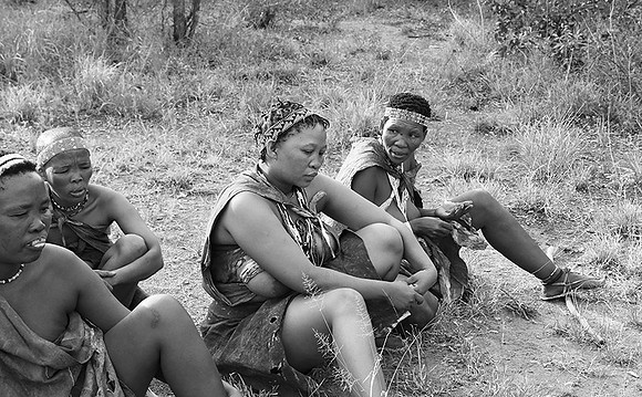 Junxwazy bushmen