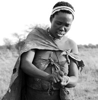 Junxwazy bushmen