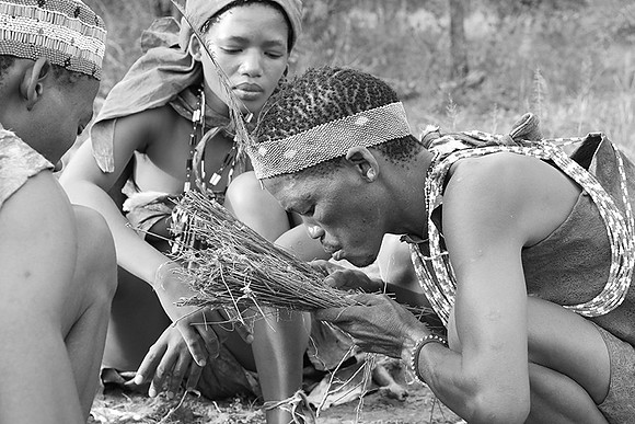 Junxwazy bushmen
