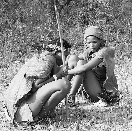 Junxwazy bushmen
