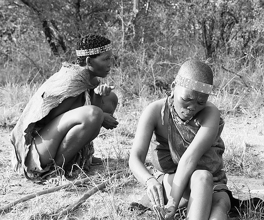 Junxwazy bushmen