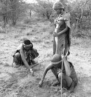 Junxwazy bushmen