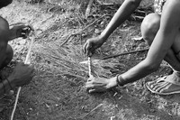 Junxwazy bushmen